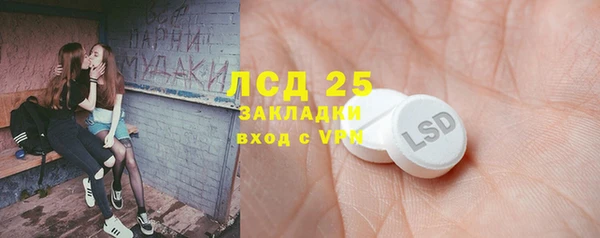 ПСИЛОЦИБИНОВЫЕ ГРИБЫ Бугульма