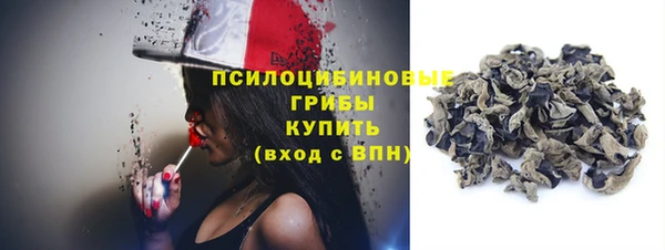 ГАЛЛЮЦИНОГЕННЫЕ ГРИБЫ Богородицк