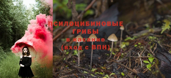ешки Богданович