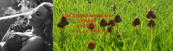 ГАЛЛЮЦИНОГЕННЫЕ ГРИБЫ Богородицк