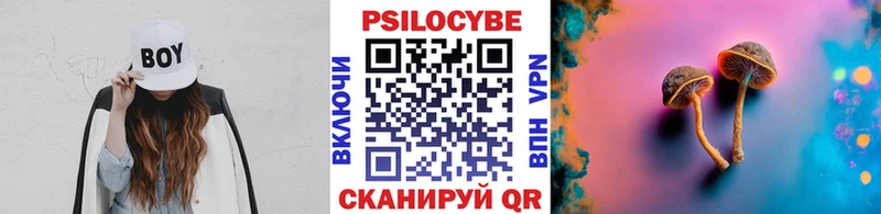 Галлюциногенные грибы Psilocybine cubensis  Балтийск 